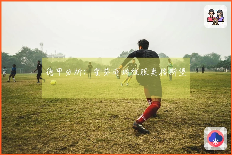 德甲分析：霍芬海姆征服奥格斯堡
